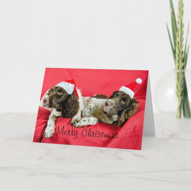 Springers Holiday Card (Front)