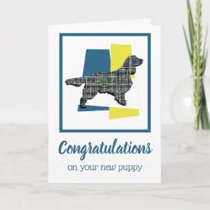 SpringerSpaniel Dog Puppy Congratulations Greeting Card