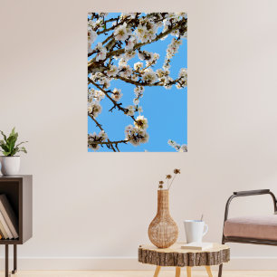 Spring's Embrace: White Blossoms Against Blue Sky Poster