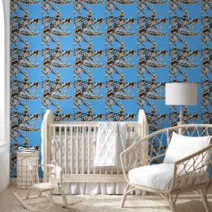 Spring's Embrace: White Blossoms Against Blue Sky Wallpaper