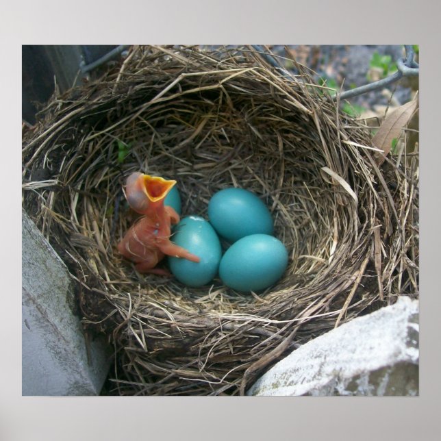 Spring's new arrival poster (Front)