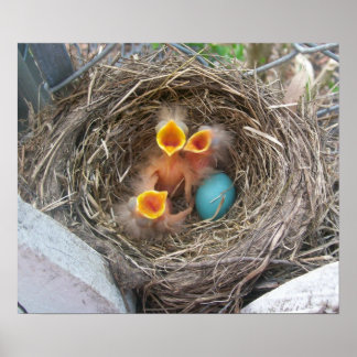 Spring's New Birth Poster