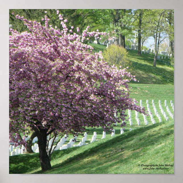 Springtime Again in Arlington National Cemetery Poster (Front)