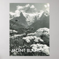 Springtime and snow, Mont Blanc, France