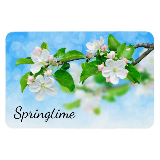 Springtime (apple flowers) magnet (Horizontal)