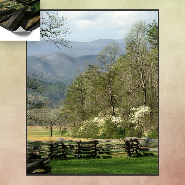 Springtime at the John Oliver Cabin Poster (Creator Uploaded)