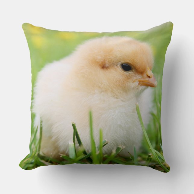 Springtime Baby Chick Cushion (Front)