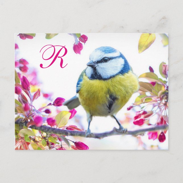 Springtime Bird Monogram Postcard (Front)