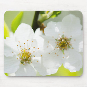 Springtime blooming mouse pad