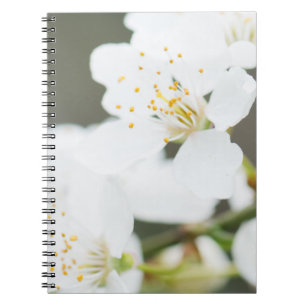 Springtime blooming notebook