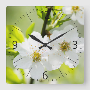 Springtime blooming square wall clock