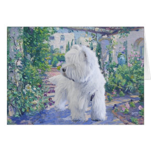 Springtime Bower