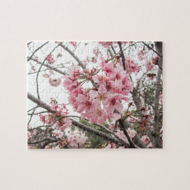 Springtime Cherry Blossoms - Jigsaw Puzzle (Horizontal)
