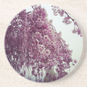 Springtime Coaster