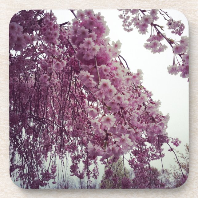 Springtime Coaster (Front)