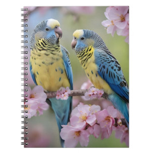 Springtime Harmony: Blue and Yellow Budgies Notebook