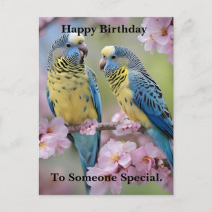 Springtime Harmony: Blue and Yellow Budgies Postcard