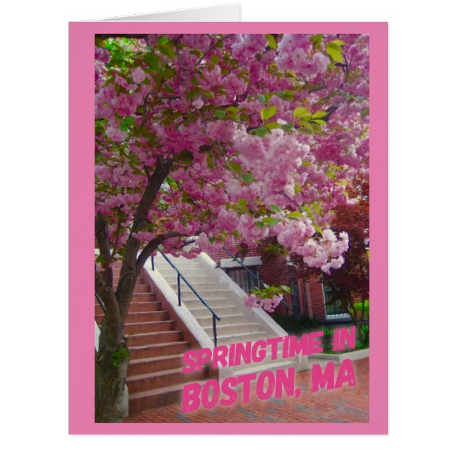 Springtime in Boston, MA (Front)