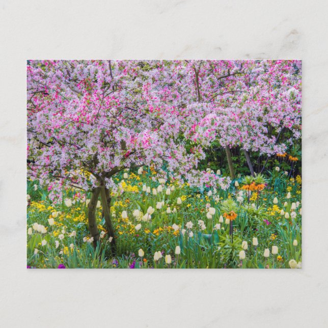 Springtime in Claude Monet's garden Postcard (Front)