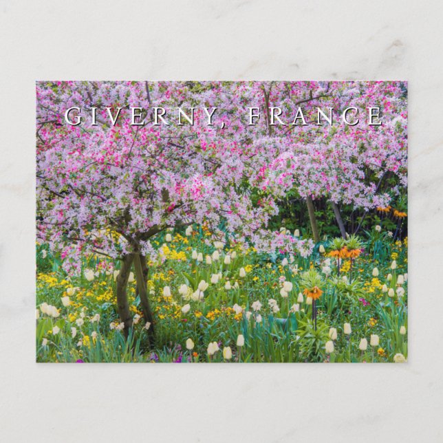 Springtime in Claude Monet's garden Postcard (Front)