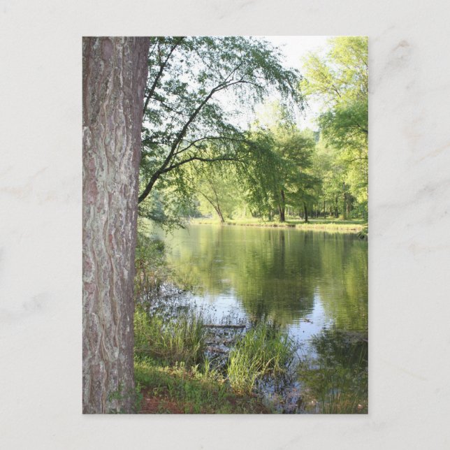 "Springtime in East Tennessee" Postcard (Front)