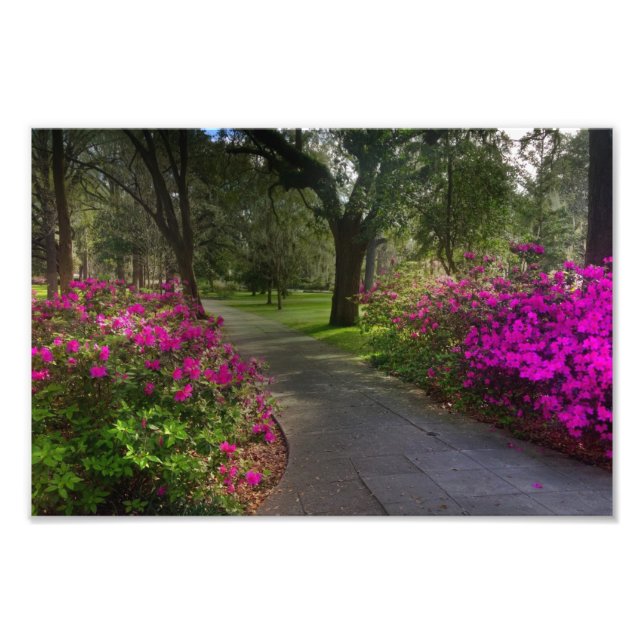 Springtime In Forsyth Park, Savannah Photo Print (Front)