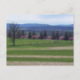 Springtime In Gettysburg Postcard