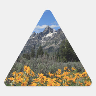 Springtime in Grand Teton National Park Triangle Sticker
