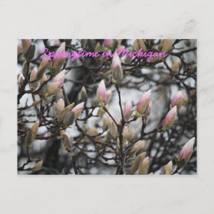 Springtime in Michigan Postcard
