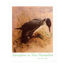 Springtime in New Hampshire by Chloe Dee Noble