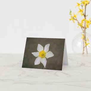 Springtime Inspirational Note Card