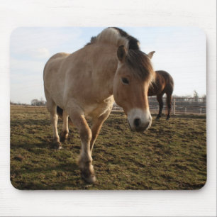 Springtime Mouse Pad