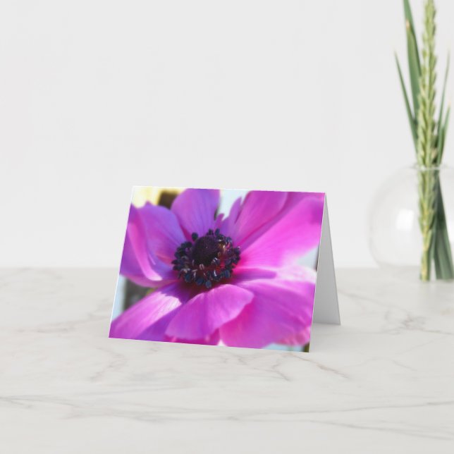 Springtime Purple Anemone Note Card (Front)