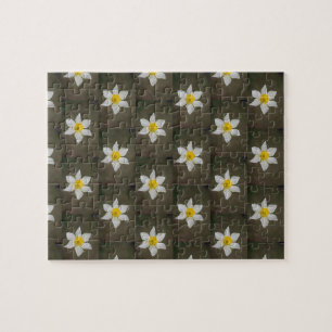 Springtime Puzzle
