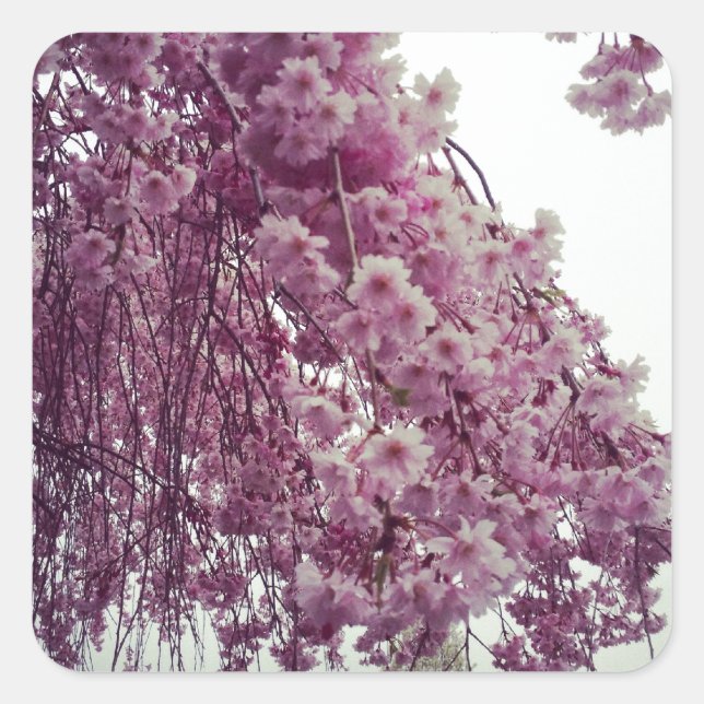 Springtime Square Sticker (Front)