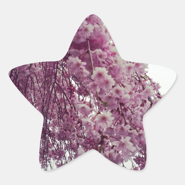 Springtime Star Sticker (Front)