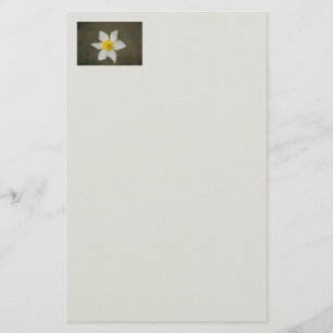 Springtime Stationery