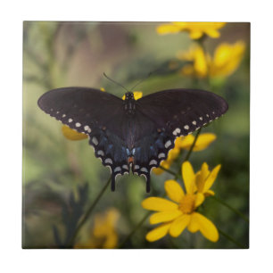 Springtime Swallowtail Ceramic Tile