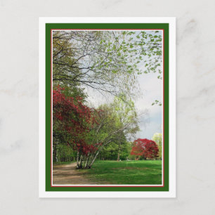 Springtime Walking Path Postcard
