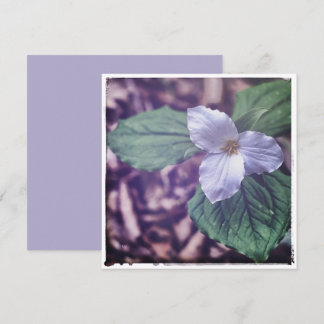 Sprint Trillium Autochrome Style Card