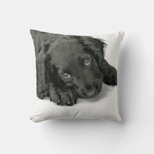 Sprocker Spaniel Dave Cushion (Front)