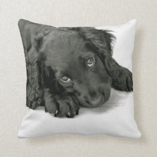 Sprocker Spaniel Dave Cushion