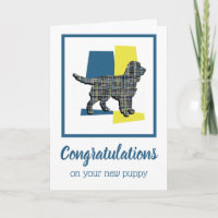 Sprocker Spaniel Dog Puppy Congratulations