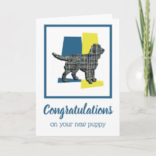 Sprocker Spaniel Dog Puppy Congratulations Card