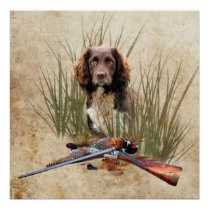Sprocker Spaniel Tapestry Poster