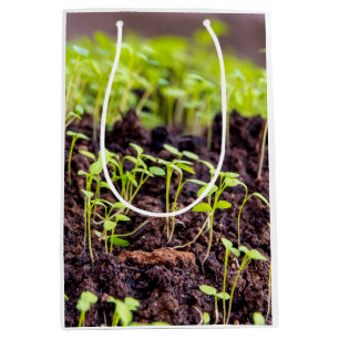 Sprouting grass medium gift bag