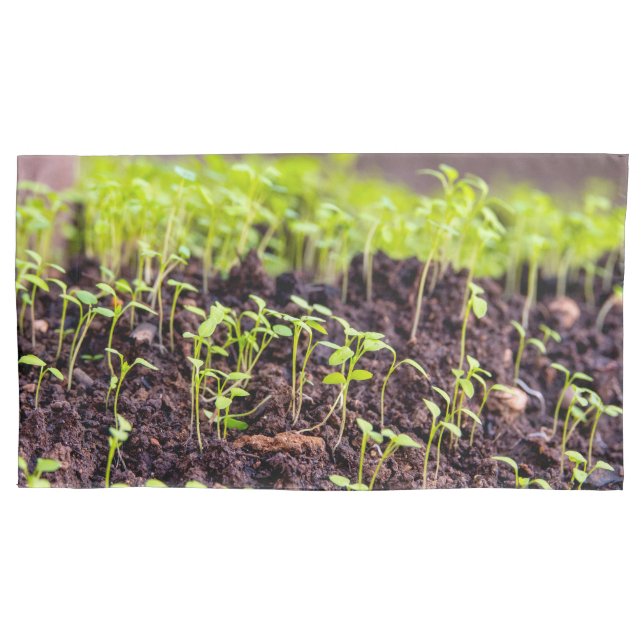 Sprouting grass pillowcase (Front)