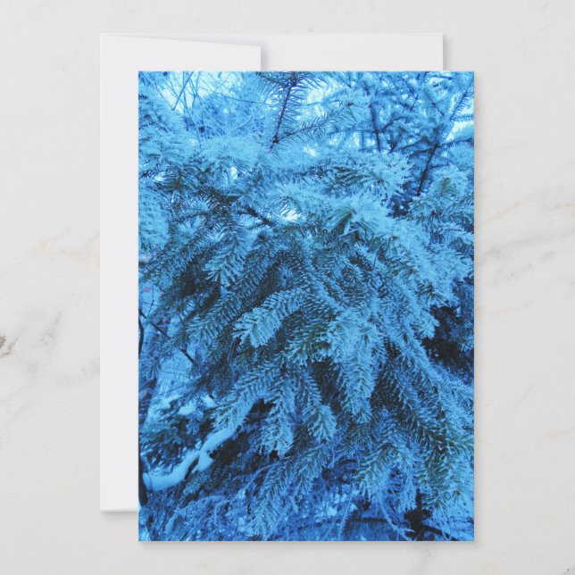 Spruce branches covered with frost crystals  holiday card (Front)
