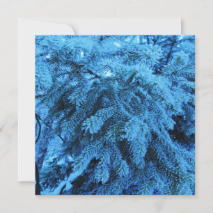 Spruce branches covered with snow & frost crystals card