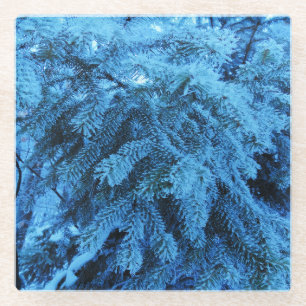 Spruce branches covered with snow & frost crystals glass coaster